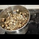 Tiempo de cocción de los caracoles